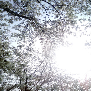 Chinese男小鲜肉同性接吻开肛交搞基呻吟声射精
